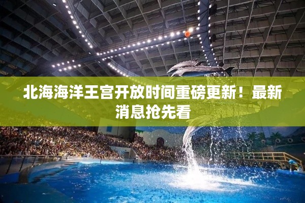 北海海洋王宫开放时间重磅更新！最新消息抢先看