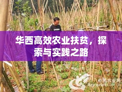 按部就班