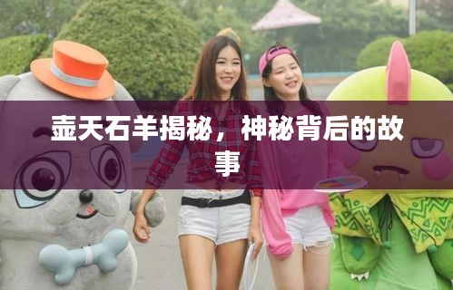 萍水相逢