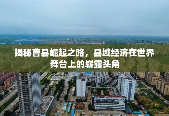 澹泊明志