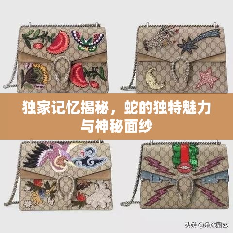 独家记忆揭秘，蛇的独特魅力与神秘面纱