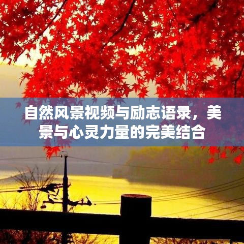 朴素无华