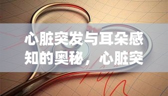 心脏突发与耳朵感知的奥秘，心脏突发时耳朵感知的变化探讨