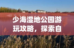 独出新裁