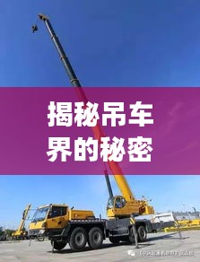 一花独放