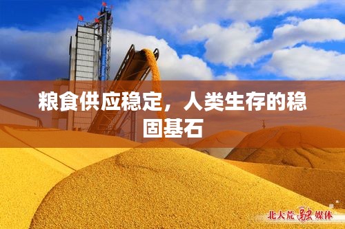 粮食供应稳定，人类生存的稳固基石