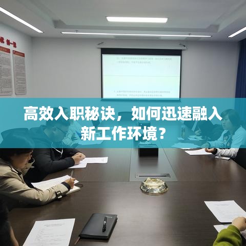 高效入职秘诀，如何迅速融入新工作环境？