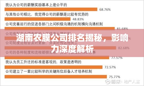 湖南农膜公司排名揭秘，影响力深度解析