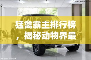 猛禽霸主排行榜，揭秘动物界最威猛禽类！