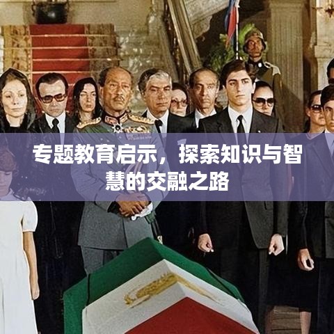 专题教育启示，探索知识与智慧的交融之路