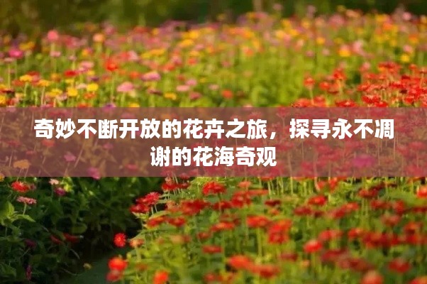 鸟骇鼠窜