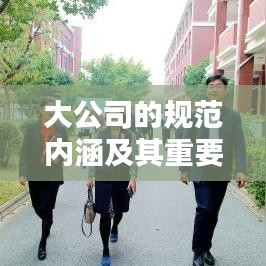 风流儒雅