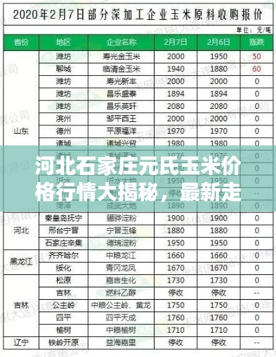 河北石家庄元氏玉米价格行情大揭秘，最新走势分析！