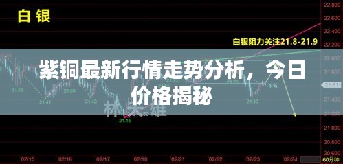 铁石心肠