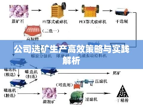 公司选矿生产高效策略与实践解析