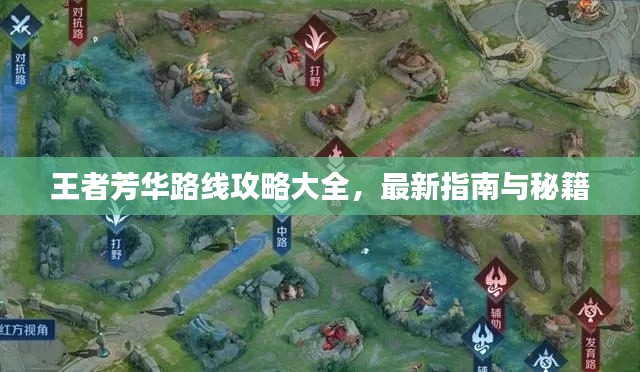 眉清目秀
