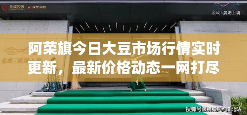 阿荣旗今日大豆市场行情实时更新，最新价格动态一网打尽