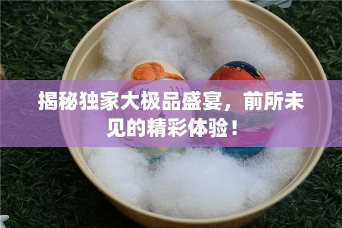 揭秘独家大极品盛宴，前所未见的精彩体验！