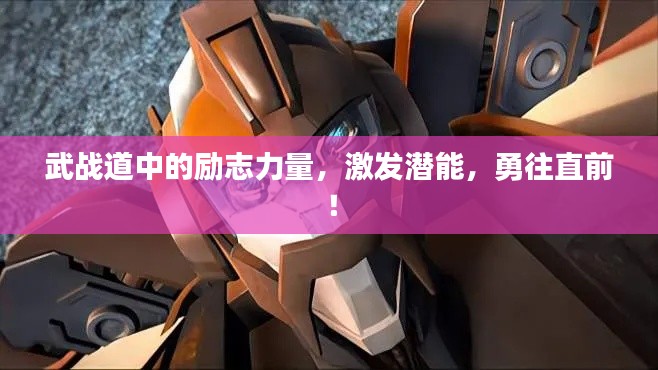 武战道中的励志力量，激发潜能，勇往直前！