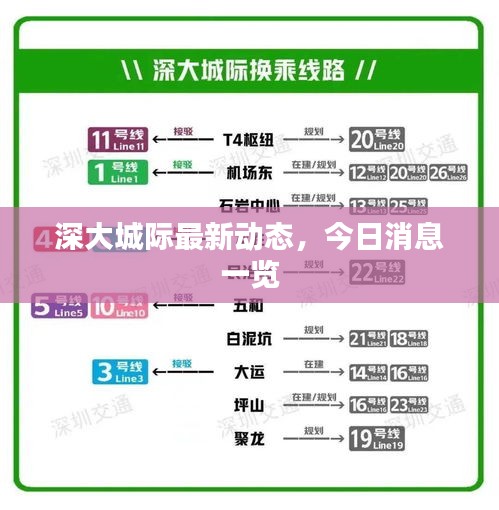 深大城际最新动态，今日消息一览