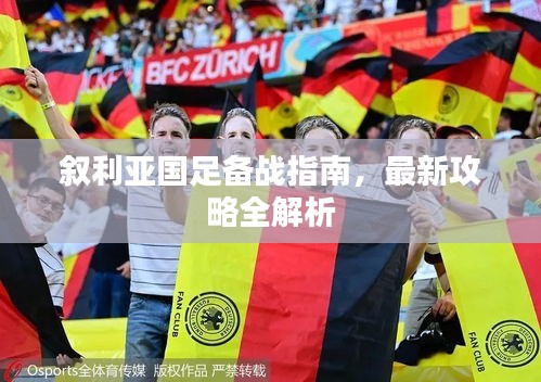 叙利亚国足备战指南，最新攻略全解析