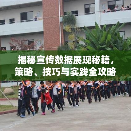 揭秘宣传数据展现秘籍，策略、技巧与实践全攻略！