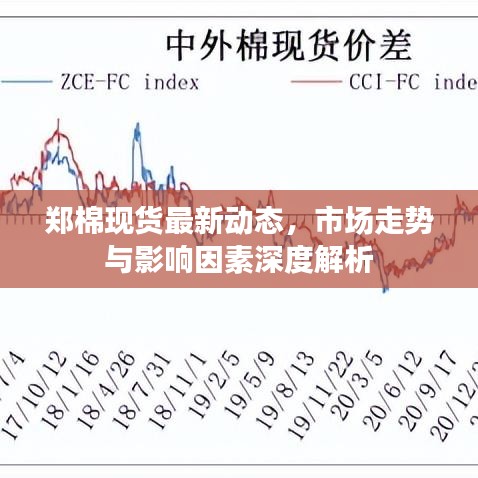 郑棉现货最新动态，市场走势与影响因素深度解析