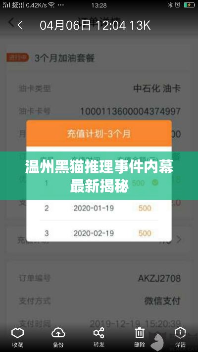 温州黑猫推理事件内幕最新揭秘