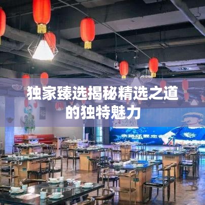 独家臻选揭秘精选之道的独特魅力