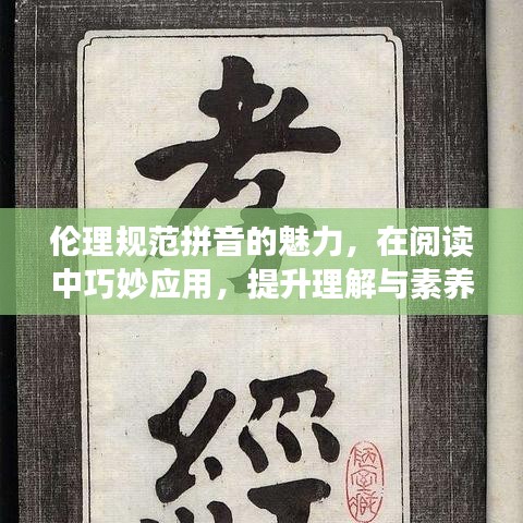 伦理规范拼音的魅力，在阅读中巧妙应用，提升理解与素养