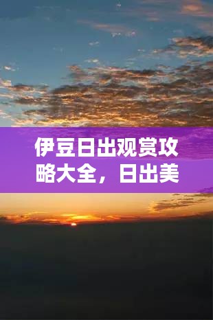伊豆日出观赏攻略大全，日出美景尽收眼底（最新）