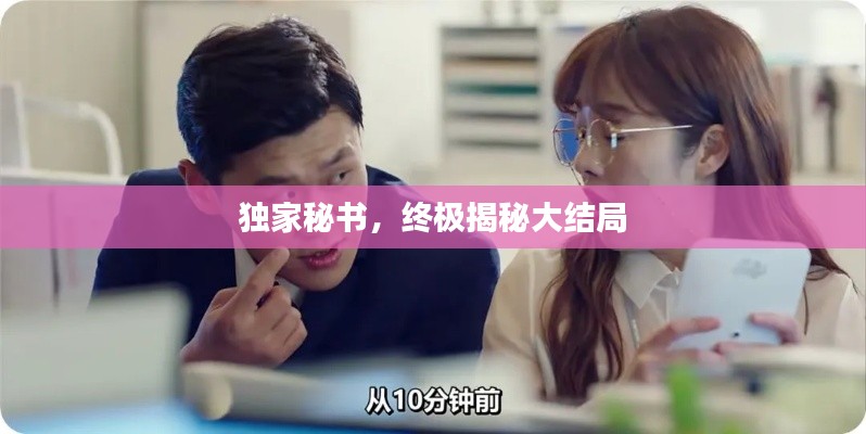 独家秘书，终极揭秘大结局