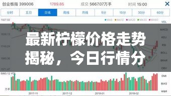 最新柠檬价格走势揭秘，今日行情分析与预测