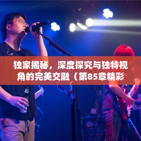 独家揭秘，深度探究与独特视角的完美交融（第85章精彩解读）