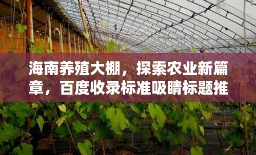 海南养殖大棚，探索农业新篇章，百度收录标准吸睛标题推荐