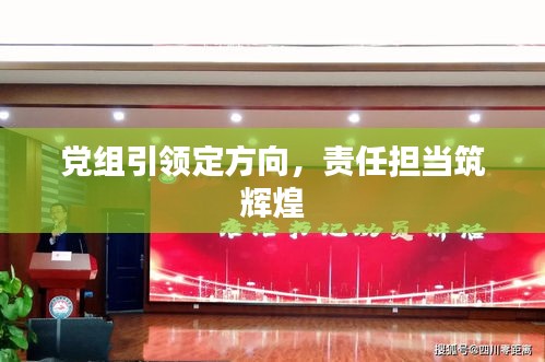 党组引领定方向，责任担当筑辉煌