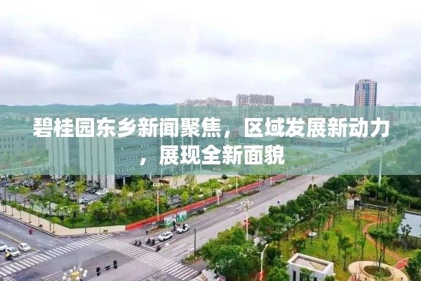 碧桂园东乡新闻聚焦，区域发展新动力，展现全新面貌