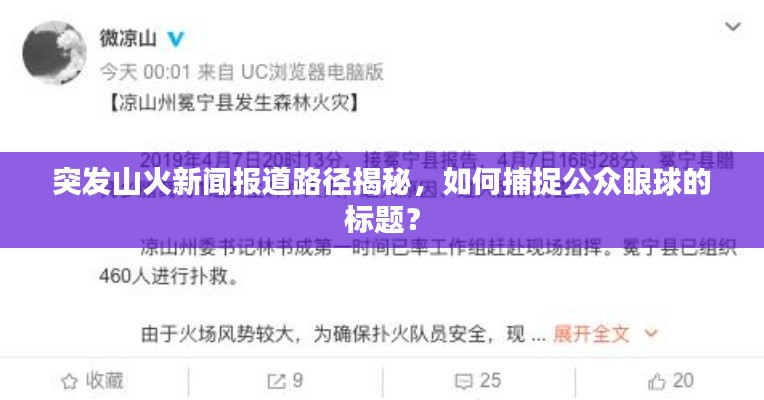 突发山火新闻报道路径揭秘，如何捕捉公众眼球的标题？