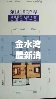 金水湾最新消息速递，今日动态与资讯概览