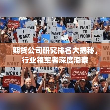 期货公司研究排名大揭秘，行业领军者深度洞察