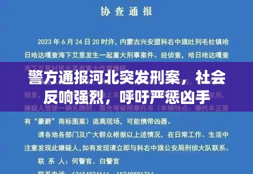 警方通报河北突发刑案，社会反响强烈，呼吁严惩凶手