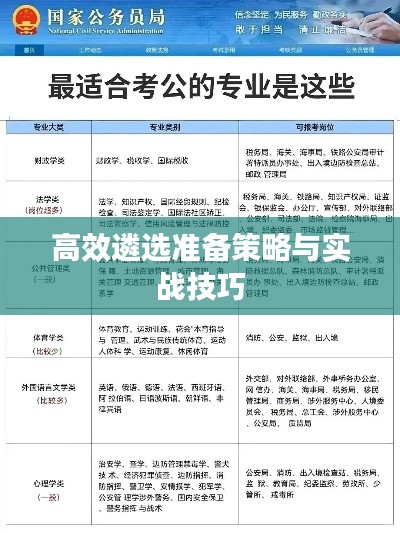 高效遴选准备策略与实战技巧
