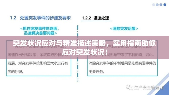 突发状况应对与精准描述策略，实用指南助你应对突发状况！