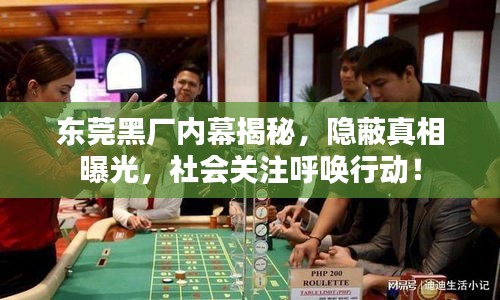 东莞黑厂内幕揭秘，隐蔽真相曝光，社会关注呼唤行动！