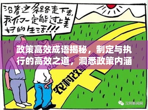 政策高效成语揭秘，制定与执行的高效之道，洞悉政策内涵与执行力度的关键要素
