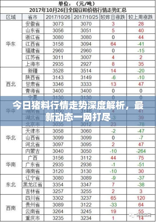 今日猪料行情走势深度解析，最新动态一网打尽