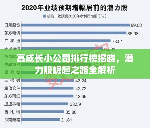 高成长小公司排行榜揭晓，潜力股崛起之路全解析