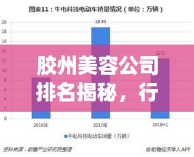 胶州美容公司排名揭秘，行业深度分析与趋势解读