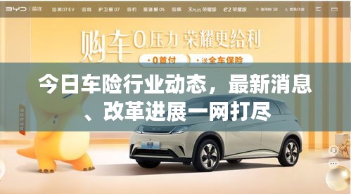 今日车险行业动态，最新消息、改革进展一网打尽