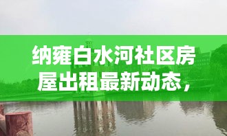 纳雍白水河社区房屋出租最新动态，优质房源一览